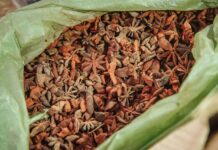 ସୁଭଦ୍ରା ଶକ୍ତି ମେଳାରେ ମସଲା ସାମଗ୍ରୀ ପାଇଁ ଜମୁଛି ଭିଡ଼