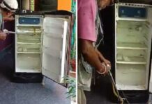 ଫ୍ରିଜରୁ କୋବ୍ରା ଉଦ୍ଧାର