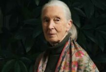 ପରିବେଶବିତ୍ ଜେନ୍ ଗୁଡାଲଙ୍କ ପରଲୋକ