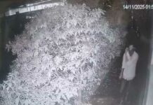 ଜଗନ୍ନାଥ ମନ୍ଦିର ହୁଣ୍ଡି ଭାଙ୍ଗି ଲୁଟିବାକୁ ଉଦ୍ୟମ: ସିସିଟିଭିରେ କଏଦ ଦୃଶ୍ୟ