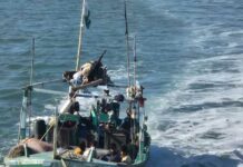 ଭାରତୀୟ ଜଳସୀମାରେ ଅବୈଧ ପ୍ରବେଶ: ୧୧ କ୍ରୁ ସଦସ୍ୟ ଗିରଫ