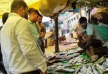 ମାଛ ମାର୍କେଟରେ ରେଡ୍