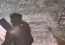 ପୁଣି ମନ୍ଦିରରୁ ଲୁଟ: ସିସିଟିଭିରେ ଦୃଶ୍ୟ କଏଦ