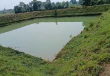 ୫ ବର୍ଷରେ ଟାଟା ଷ୍ଟିଲ୍ ଫାଉଣ୍ଡେସନ୍ ଦ୍ଵାରା ୨୪୩ଟି ନୂଆ ପୋଖରୀ ସୃଷ୍ଟି