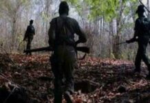 ଏନକାଉଣ୍ଟରରେ ୫ ନକ୍ସଲ ନିହତ