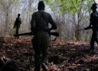 ୧୨ ନକ୍ସଲଙ୍କ ଆତ୍ମସମର୍ପଣ