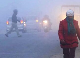 ଶୀତ ଲହରୀ: ଦାମନଯୋଡିରେ ସର୍ବନିମ୍ନ ତାପମାତ୍ରା ୨.୯ ଡିଗ୍ରୀ ରେକର୍ଡ