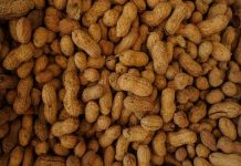 କିଏ ବାଦାମ ଖାଇବା ଉଚିତ୍ ନୁହେଁ ଜାଣନ୍ତୁ