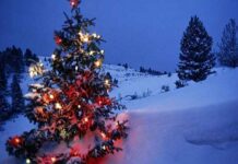 ଖ୍ରୀଷ୍ଟମାସରେ ପର୍ଯ୍ୟଟକଙ୍କୁ ଆକର୍ଷଣ କରୁଛି ଏହି ସ୍ଥାନ!