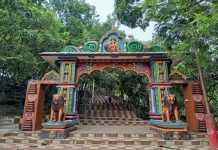 ଶିଖରଚଣ୍ଡୀ ମୁଣ୍ଡିଆ ଛାଡୁନି ଦନ୍ତା