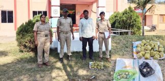 ୩୪ଟି ହାତ ତିଆରି ବୋମା ଜବତ, ଜଣେ ଗିରଫ