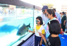 ଆକର୍ଷଣ ବଢାଉଛି ଜୀବନ୍ତ ମତ୍ସ୍ୟ ପ୍ରଦର୍ଶନୀ