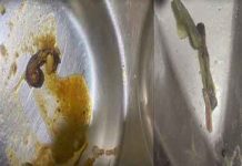 ବିଜେବି ହଷ୍ଟେଲ ଖାଦ୍ୟରେ ପୋକ: ଛାତ୍ରୀଙ୍କ ମଧ୍ୟରେ ଅସନ୍ତୋଷ