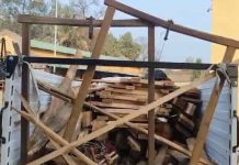 ବନ ବିଭାଗର ଚଢ଼ଉ: ଲକ୍ଷାଧିକ ଟଙ୍କାର ଶାଗୁଆନ କାଠ ଜବତ