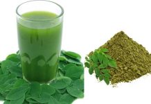 ମୋରିଙ୍ଗା ପାଉଡର ଖାଇବାର ସଠିକ ଉପାୟ ଜାଣନ୍ତୁ