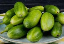 ଡାଇବେଟିସ୍ ଥିଲେ ଖାଆନ୍ତୁ ପୋଟଳ