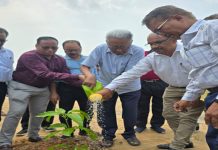ଆଇ.ଡବ୍ଲ୍ୟୁ.ଡବ୍ଲ୍ୟୁ.ଏ ଓଡ଼ିଶା କେନ୍ଦ୍ର ପକ୍ଷରୁ ବିଶ୍ୱ ପରିବେଶ ଦିବସ ପାଳିତ