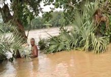 ତାଳଗଛରେ ୨୪ ଘଣ୍ଟା…ଚାଷୀଙ୍କୁ ଉଦ୍ଧାର କଲା ଓଡ୍ରାଫ୍