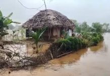 ବିପଦ ସଂକେତ ଉପରେ ବୈତରଣୀ