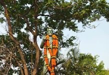 ପିସିସି ପକ୍ଷରୁ ଉତ୍କଳମଣି ପଣ୍ଡିତ ଗୋପବନ୍ଧୁ ଦାସଙ୍କ ଜୟନ୍ତୀ ପାଳିତ